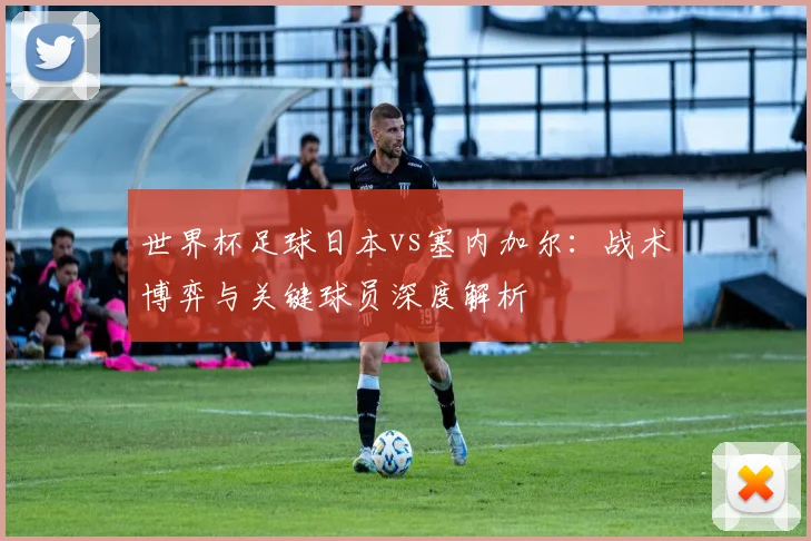 世界杯足球日本vs塞内加尔：战术博弈与关键球员深度解析